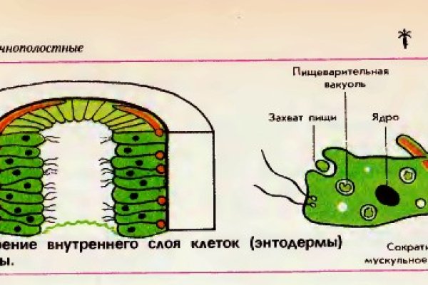 Актуальное зеркало на кракен