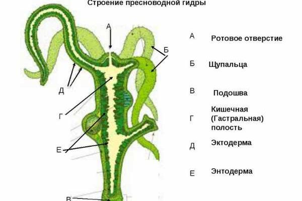 Кракен оригинальная ссылка для тор